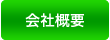 ЊTv