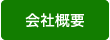 ЊTv